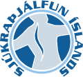 Sjúkraþjálfun Íslands